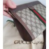 Gucci Clutch/Crossbody Vintage Braun Leder Canvas