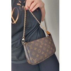 Louis Vuitton Pochette Accessoires Monogram Canvas