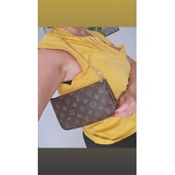 Louis Vuitton Pochette Accessoires Monogram Canvas