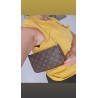 Louis Vuitton Pochette Accessoires Monogram Canvas